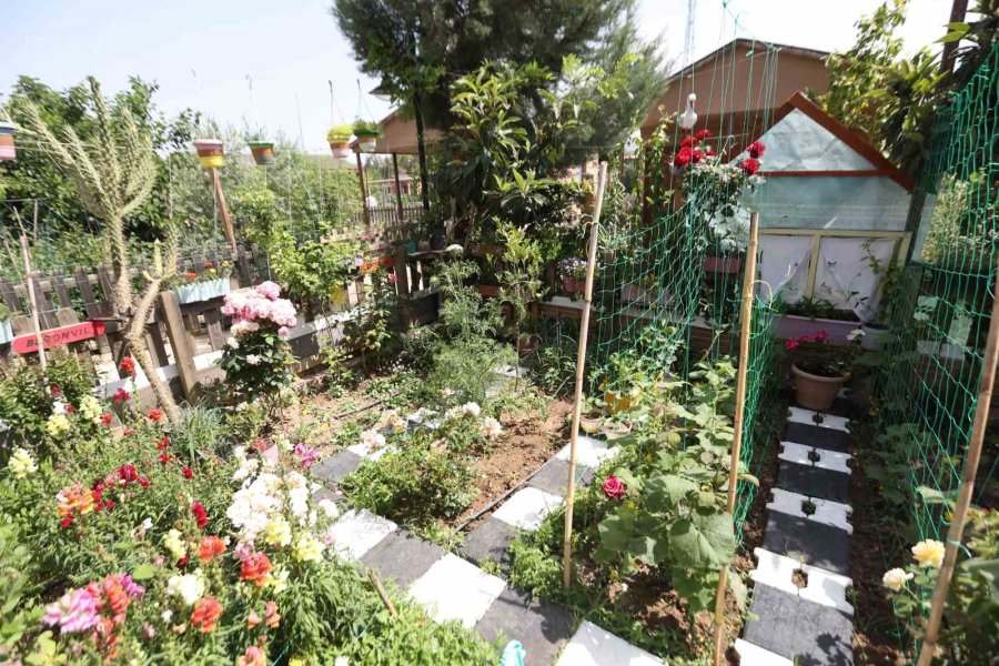 Antalya Büyükşehir Belediyesi’nden "daha Yeşil Antalya" İçin Ödüllü Yarışma