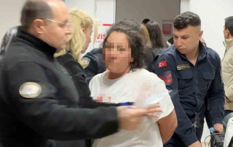 Oğul Annesinin Sevgilisini Bıçakladı, Anne İse Polis Memurunu Tokatladı