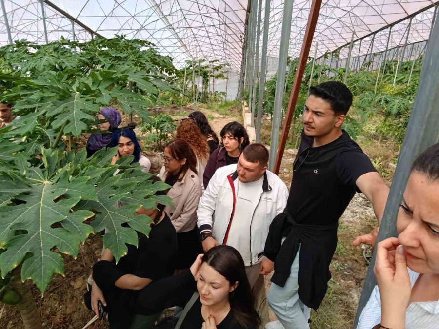 Alanya’da Üniversiteli Öğrencilerden Tropikal Bahçelere Teknik Gezi