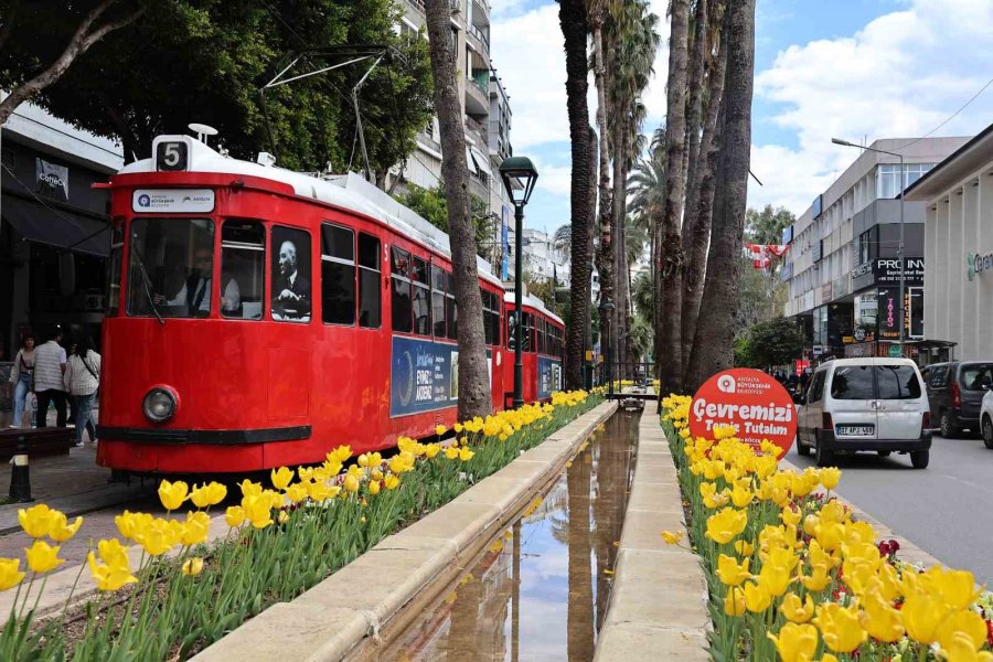 Baharın Müjdecisi Laleler Antalya Sokaklarını Renklendirdi