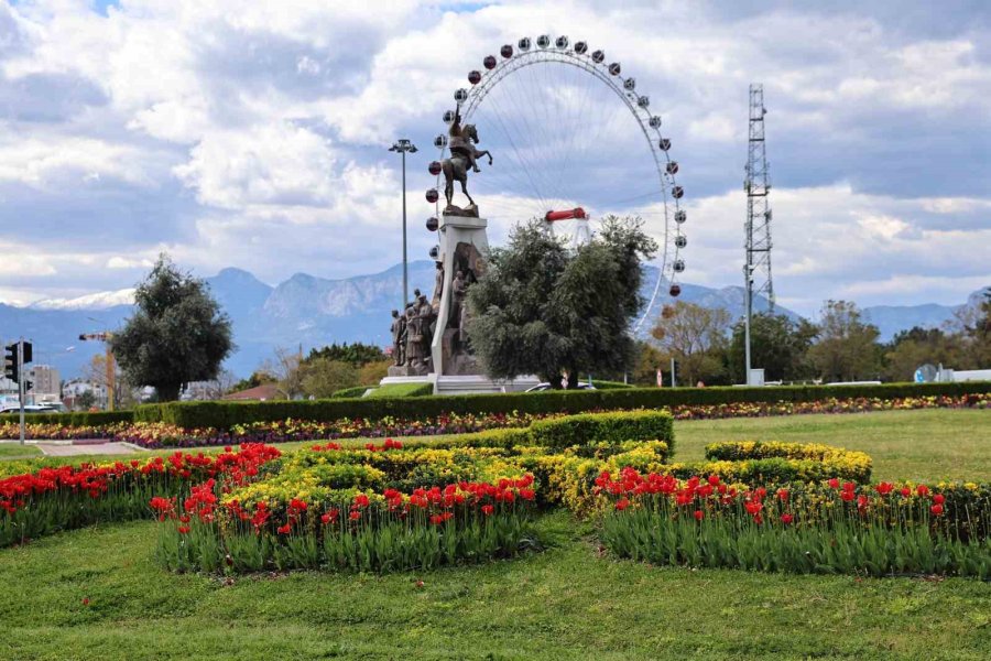Baharın Müjdecisi Laleler Antalya Sokaklarını Renklendirdi