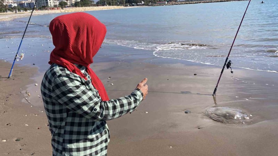 Akdeniz’deki Zehirli Denizanaları Mersin Sahillerine Vurdu