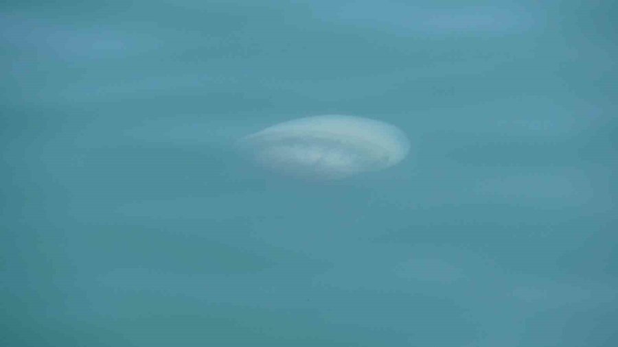 Akdeniz’deki Zehirli Denizanaları Mersin Sahillerine Vurdu