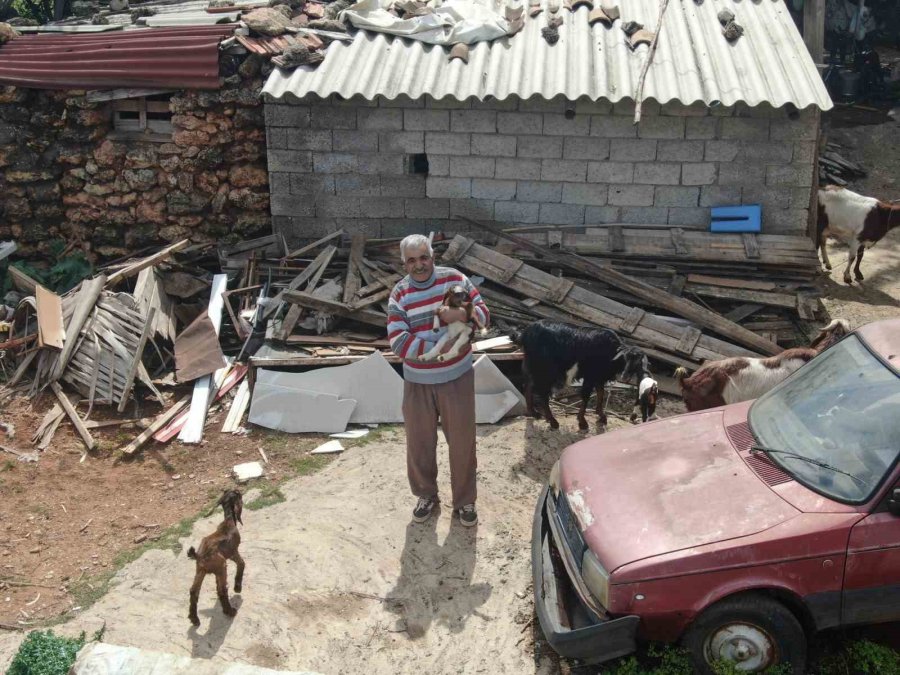 Keçileriyle Ömür Geçirdiler, Şikayetle Yıkıldılar: "uykularımız Kaçtı"