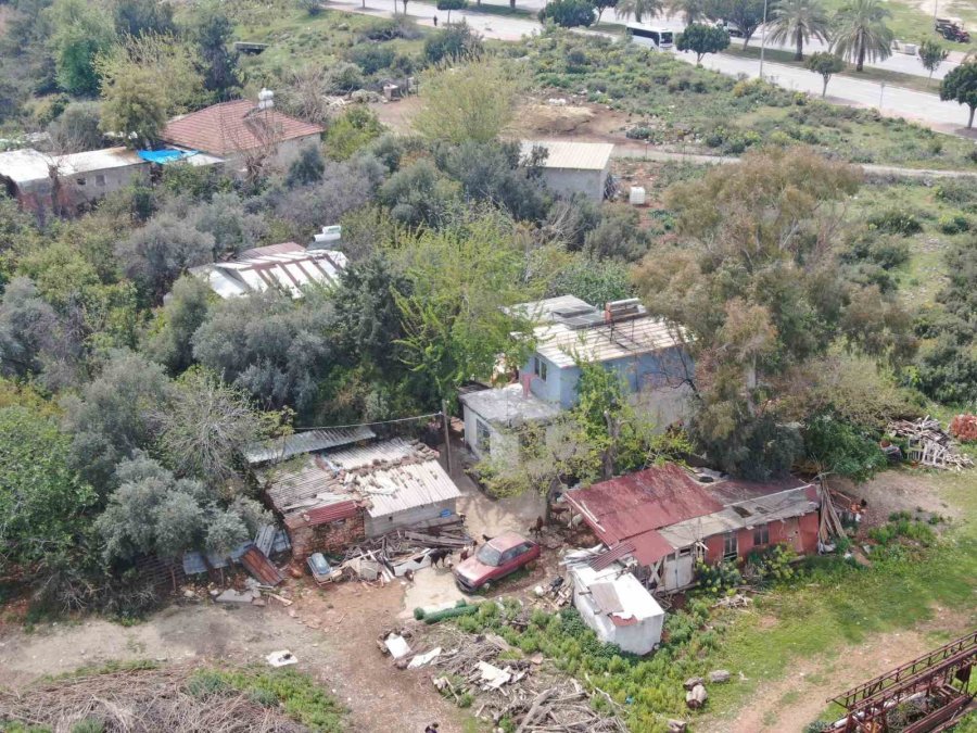 Keçileriyle Ömür Geçirdiler, Şikayetle Yıkıldılar: "uykularımız Kaçtı"