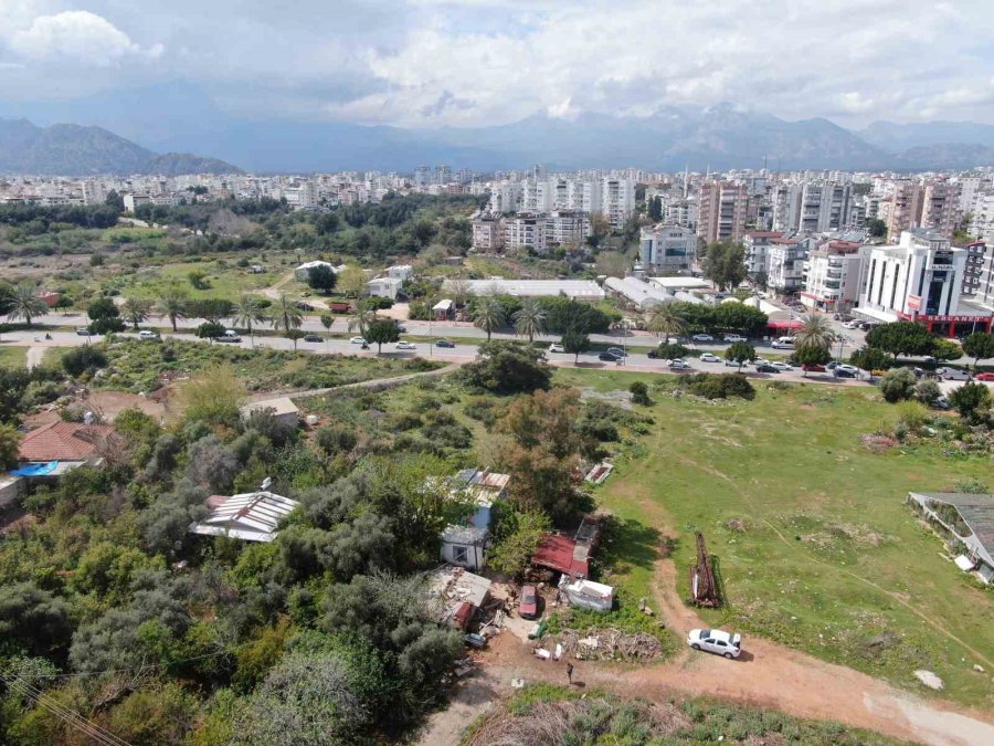 Keçileriyle Ömür Geçirdiler, Şikayetle Yıkıldılar: "uykularımız Kaçtı"