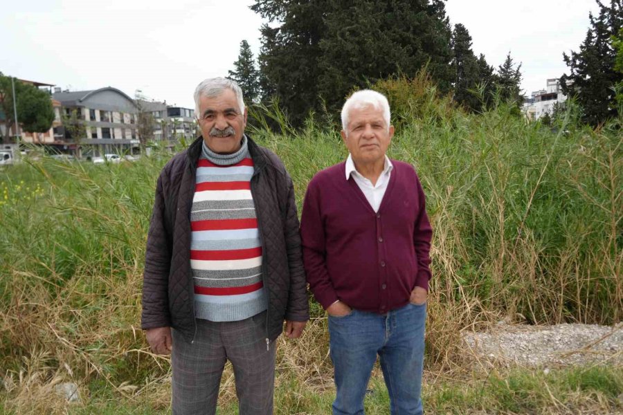 Keçileriyle Ömür Geçirdiler, Şikayetle Yıkıldılar: "uykularımız Kaçtı"