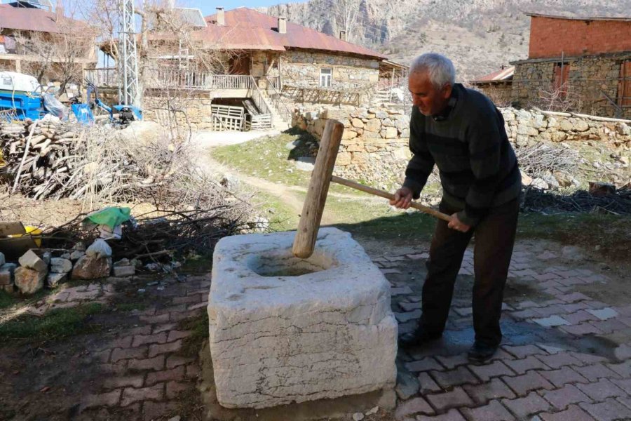 Asırlık Dibek, Köyün Ortak Mirası Oldu