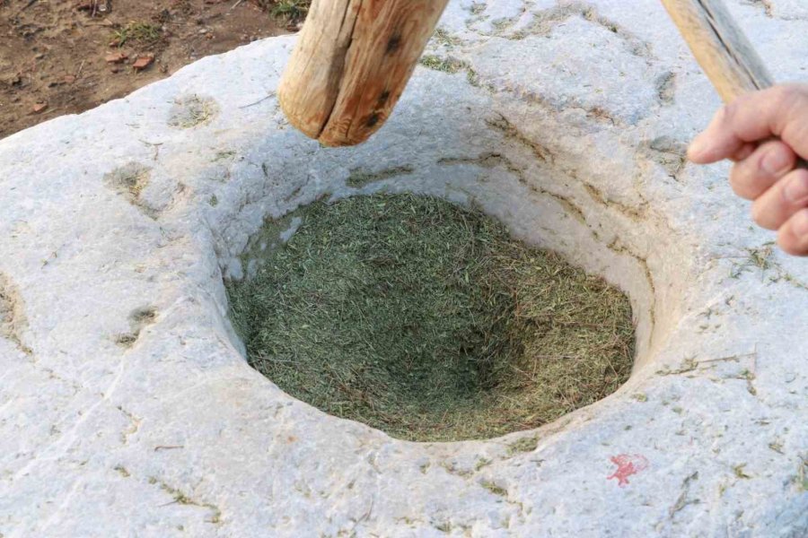 Asırlık Dibek, Köyün Ortak Mirası Oldu