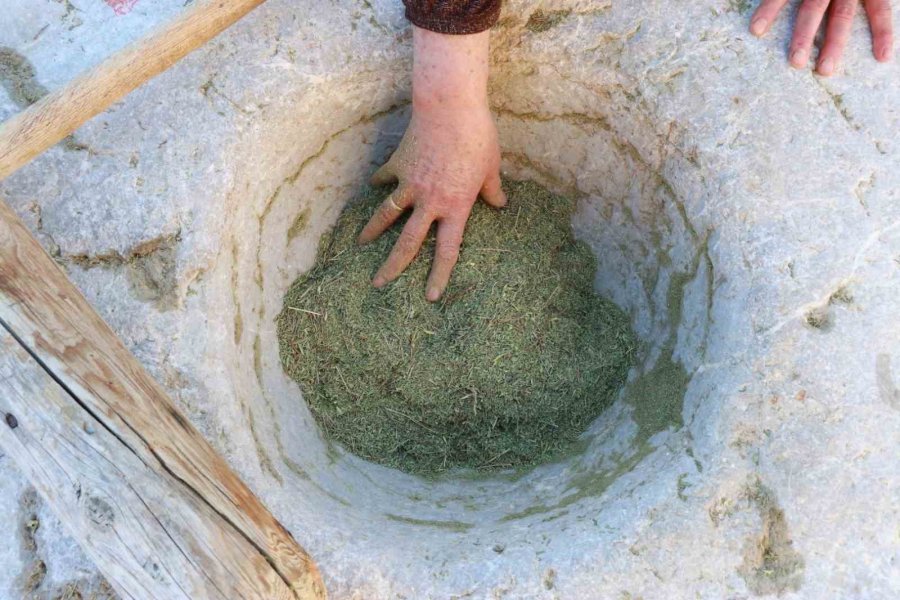 Asırlık Dibek, Köyün Ortak Mirası Oldu