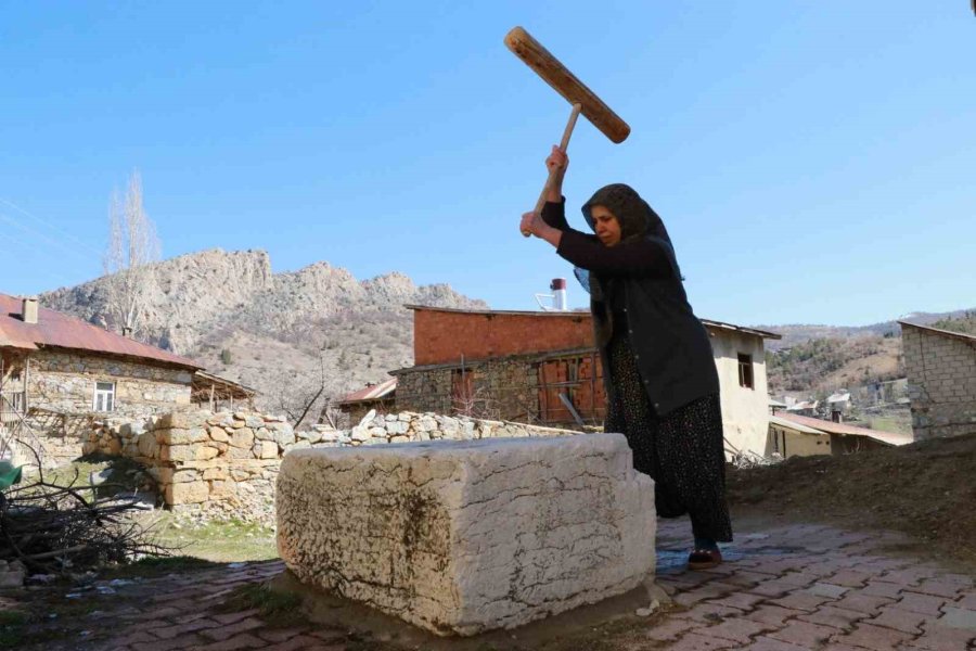 Asırlık Dibek, Köyün Ortak Mirası Oldu