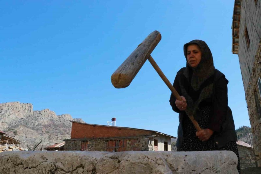Asırlık Dibek, Köyün Ortak Mirası Oldu