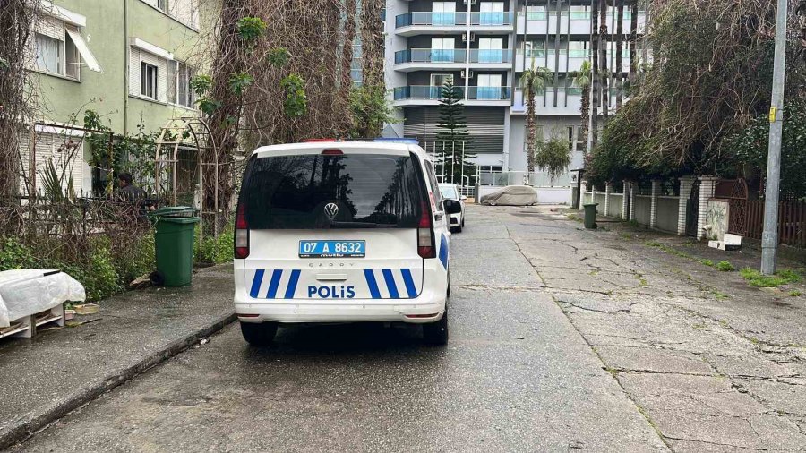 Pencereden Bakan Ev Kedisi İtfaiyeyi Alarma Geçirdi