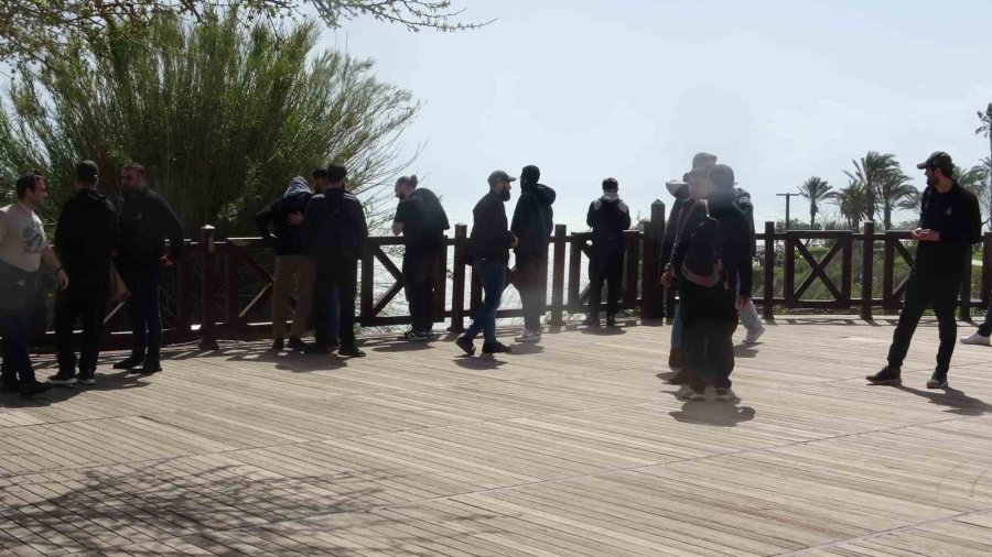 Dünyaca Ünlü Şelale, Yağmur Sonrası Denizi Kahverengiye Bürüdü