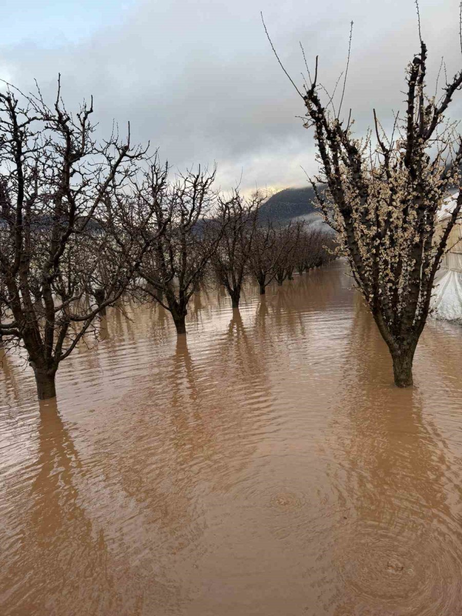 Elmalı’da Dereler Taştı, Tarım Alanları Sular Altında Kaldı