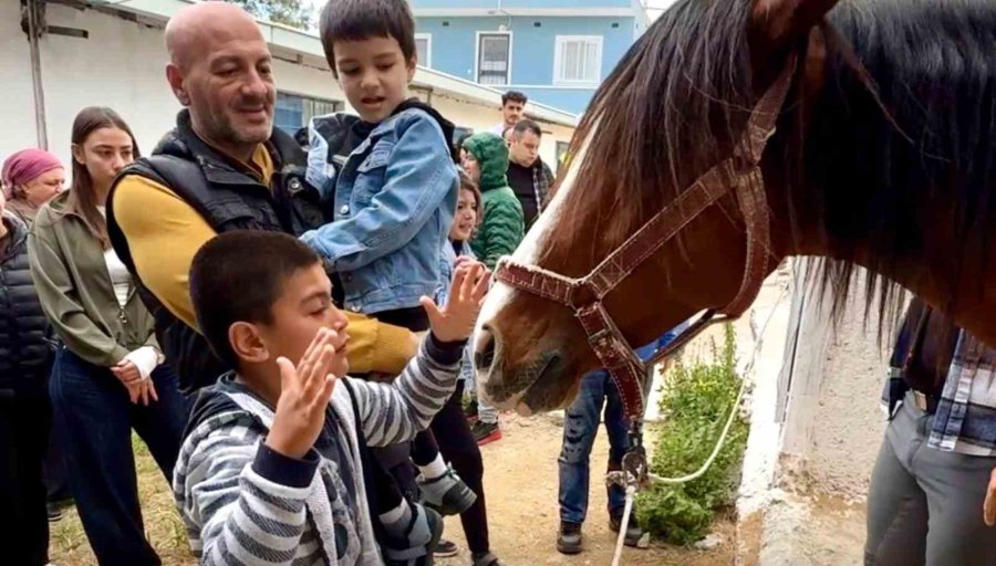 Otizmli Çocuklara Atla Terapi Desteği