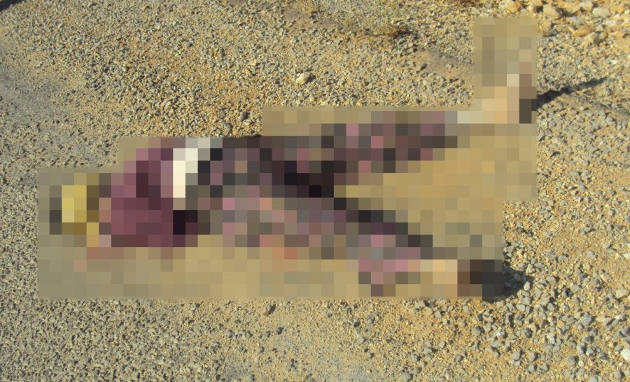 Antalya’da 15 Yıllık Cinayetin Sırrı Dna Eşleşmesi İle Çözüldü