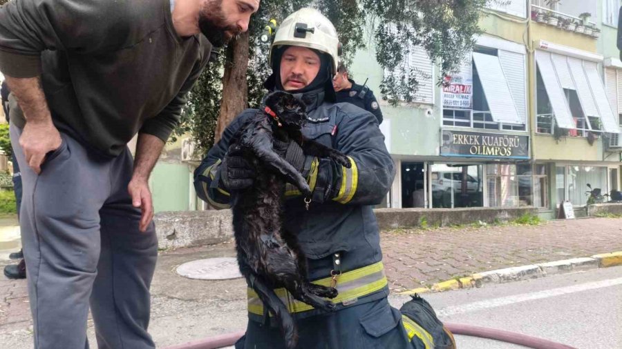 İtfaiye Eri Yangında Dumandan Etkilenen Kediyi Kalp Masajı İle Hayata Döndürdü