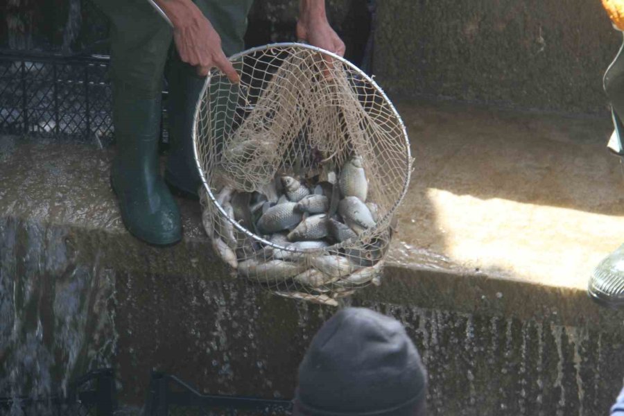 Konya’nın ’denizinde’ Balıkları Kurtarmak İçin Zamanla Yarış