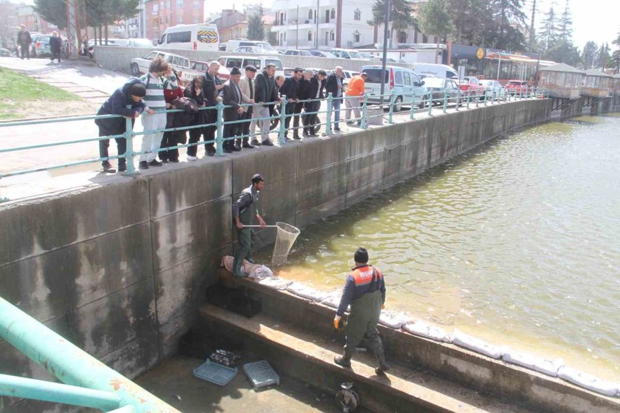 Konya’nın ’denizinde’ Balıkları Kurtarmak İçin Zamanla Yarış