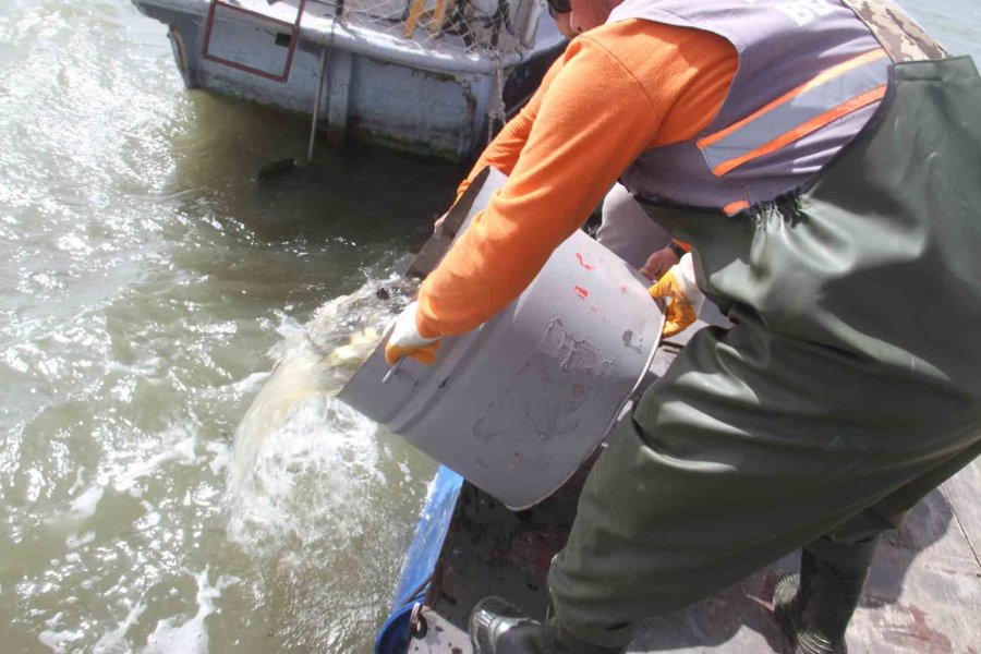 Konya’nın ’denizinde’ Balıkları Kurtarmak İçin Zamanla Yarış