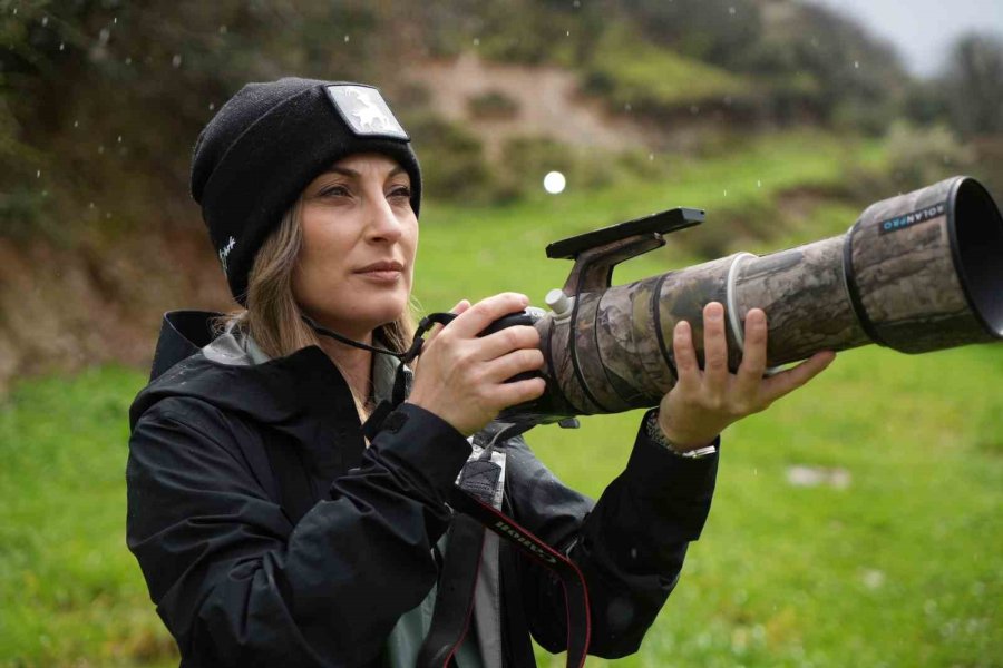 Aladağlar’da Kartpostallık Kış Manzarası: Dağ Keçileri Dron İle Görüntülendi