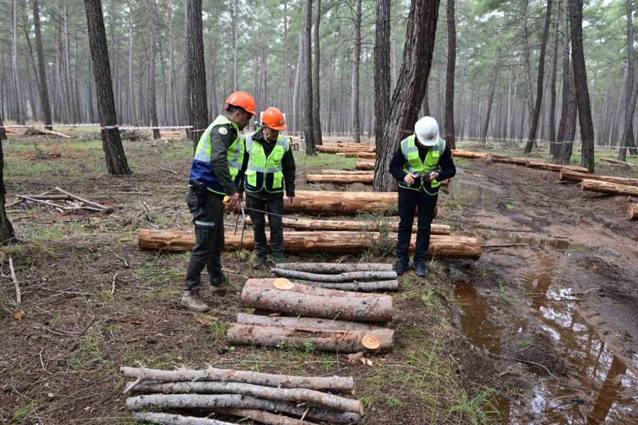 Ormancılar Antalya’da Kıyasıya Yarıştı