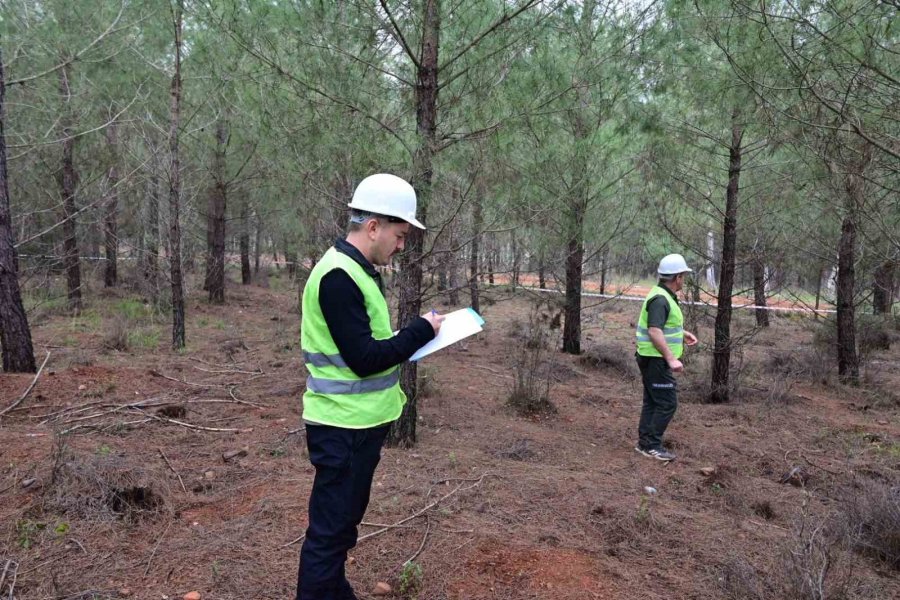 Ormancılar Antalya’da Kıyasıya Yarıştı
