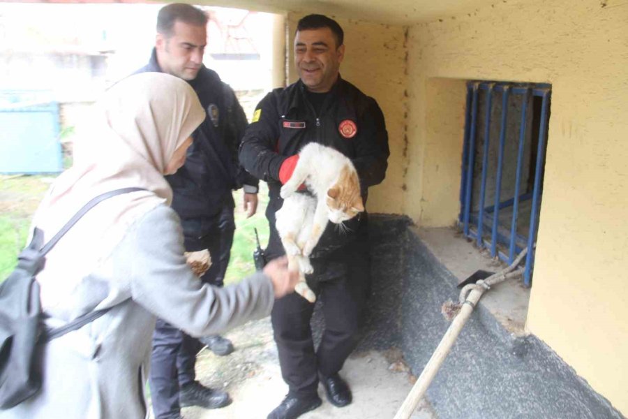 Açlıktan Bitkin Düşen Kedi İtfaiye Ekiplerince Kurtarıldı