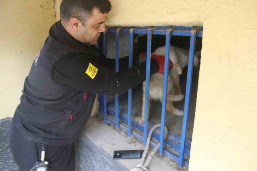 Açlıktan Bitkin Düşen Kedi İtfaiye Ekiplerince Kurtarıldı