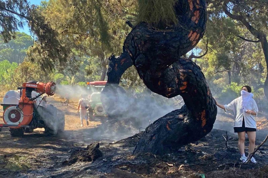 Antalya’da Yılın Serbest Fotoğraf Ödülü İha’ya