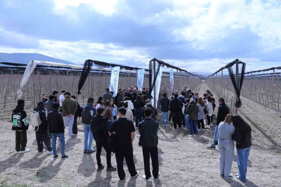 Meyve Ağaçlarında Doğru Budama Yöntemleri Öğretildi