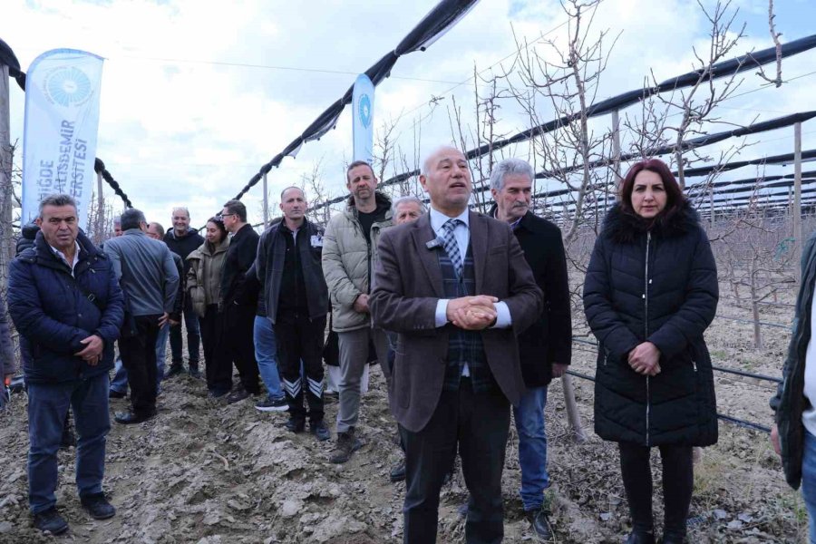 Meyve Ağaçlarında Doğru Budama Yöntemleri Öğretildi