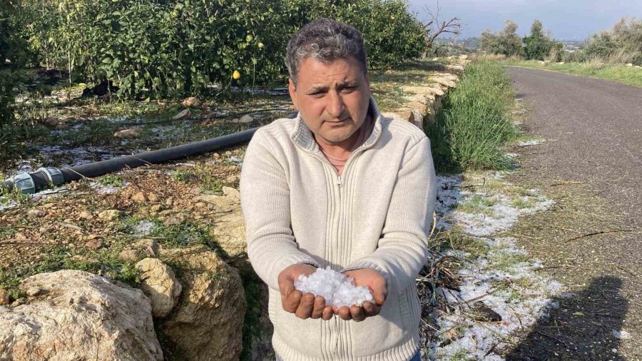 Mersin’de Misket Büyüklüğünde Dolu Etkili Oldu: Orman Ve Bahçeler Beyaza Büründü