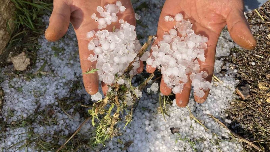 Mersin’de Misket Büyüklüğünde Dolu Etkili Oldu: Orman Ve Bahçeler Beyaza Büründü