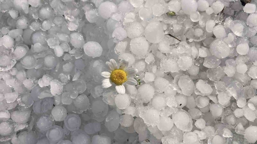 Mersin’de Misket Büyüklüğünde Dolu Etkili Oldu: Orman Ve Bahçeler Beyaza Büründü
