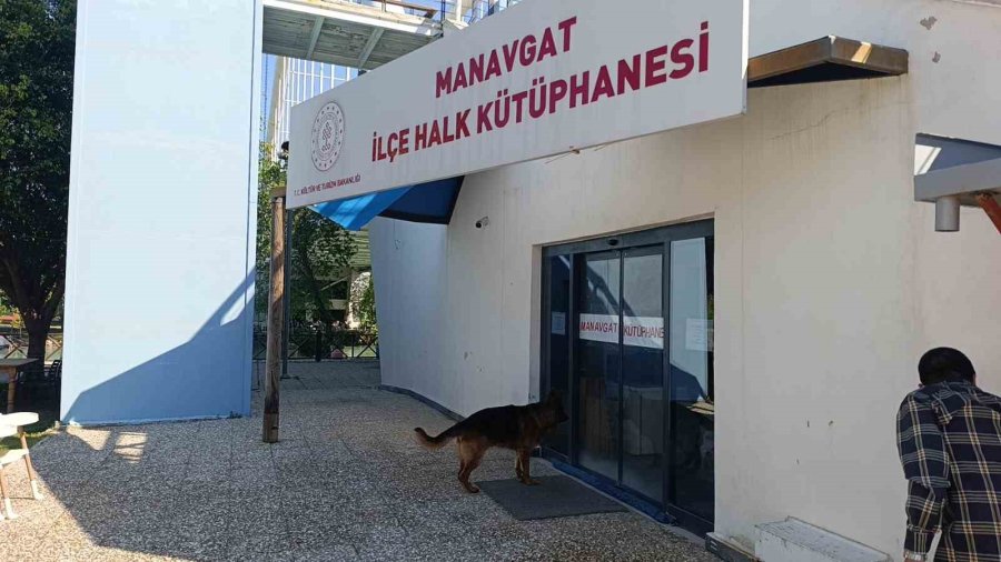 Ukraynalı Kadın Hayatının Şokunu Yaşadı, Kurt Köpeğiyle Dalaşan Kucağındaki Köpeği Parmağını Parçaladı