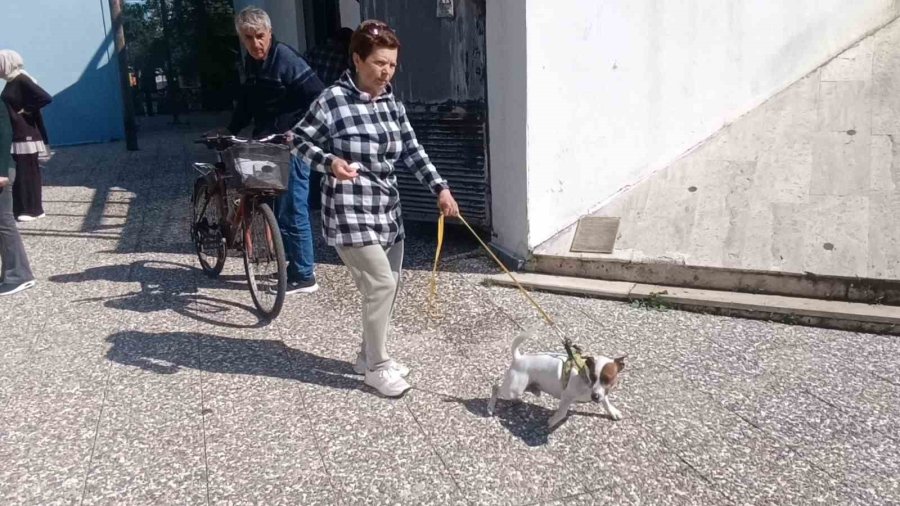 Ukraynalı Kadın Hayatının Şokunu Yaşadı, Kurt Köpeğiyle Dalaşan Kucağındaki Köpeği Parmağını Parçaladı