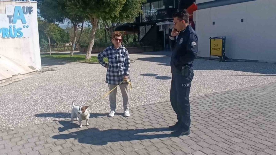 Ukraynalı Kadın Hayatının Şokunu Yaşadı, Kurt Köpeğiyle Dalaşan Kucağındaki Köpeği Parmağını Parçaladı