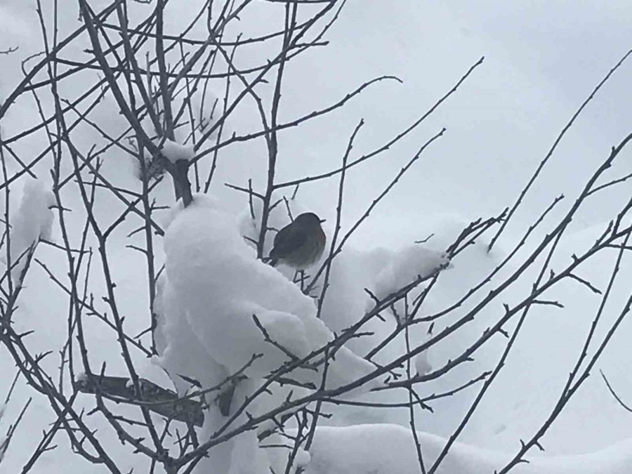 Antalya’nın Zirvelerinde Nisan Ayında Kar Sürprizi