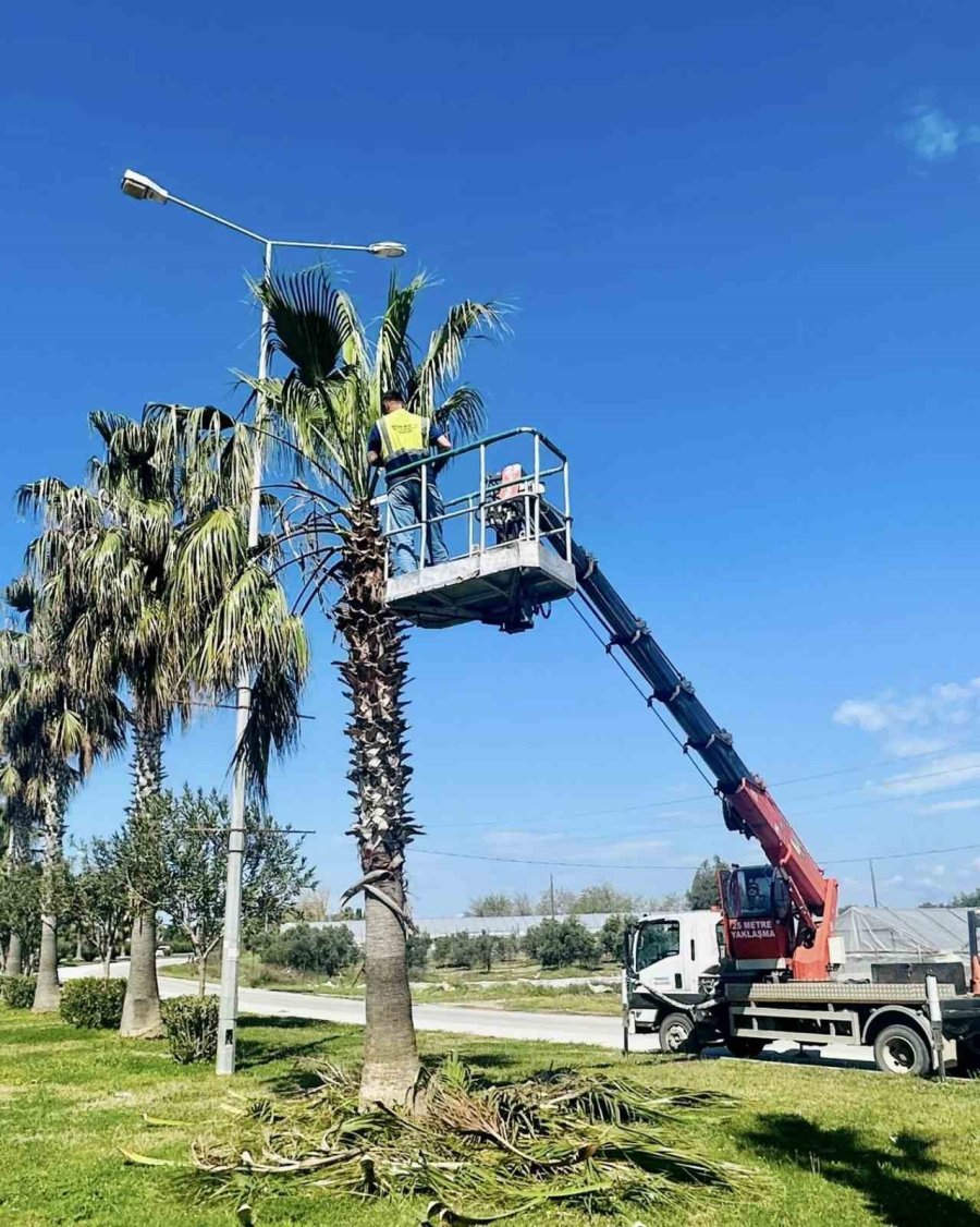 Manavgat Belediyesi Turizm Bölgelerini Yaz Sezonuna Hazırlıyor