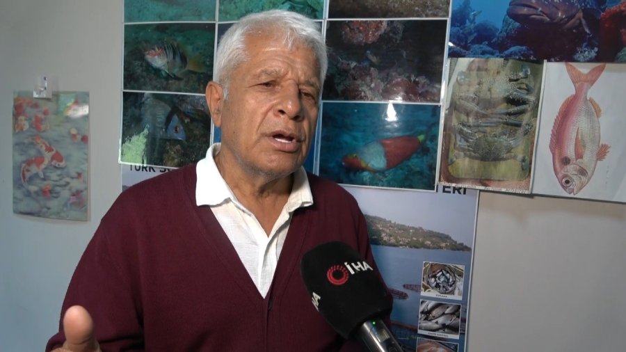 Alanya’da Sahildeki Siyah Tabaka Önce Tedirgin Etti, Gerçek Sonradan Ortaya Çıktı