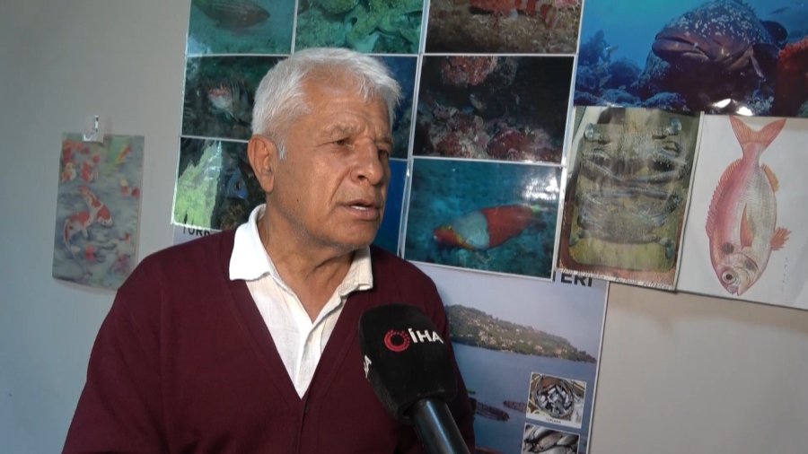 Alanya’da Sahildeki Siyah Tabaka Önce Tedirgin Etti, Gerçek Sonradan Ortaya Çıktı