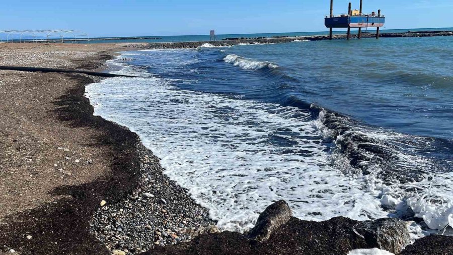 Alanya’da Sahildeki Siyah Tabaka Önce Tedirgin Etti, Gerçek Sonradan Ortaya Çıktı