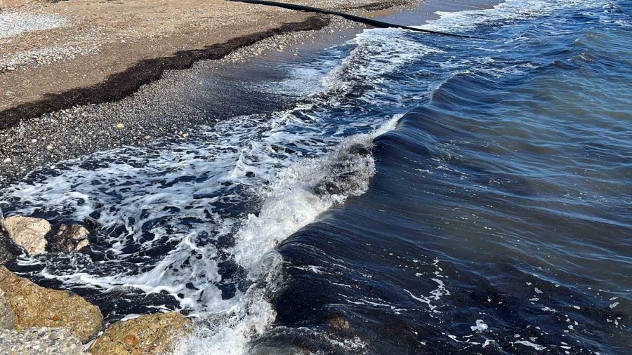 Alanya’da Sahildeki Siyah Tabaka Önce Tedirgin Etti, Gerçek Sonradan Ortaya Çıktı