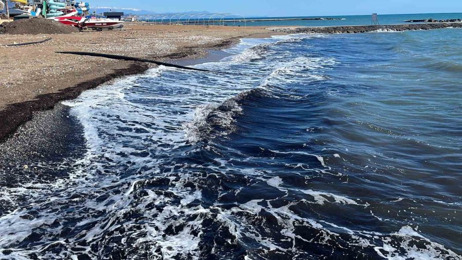 Alanya’da Sahildeki Siyah Tabaka Önce Tedirgin Etti, Gerçek Sonradan Ortaya Çıktı