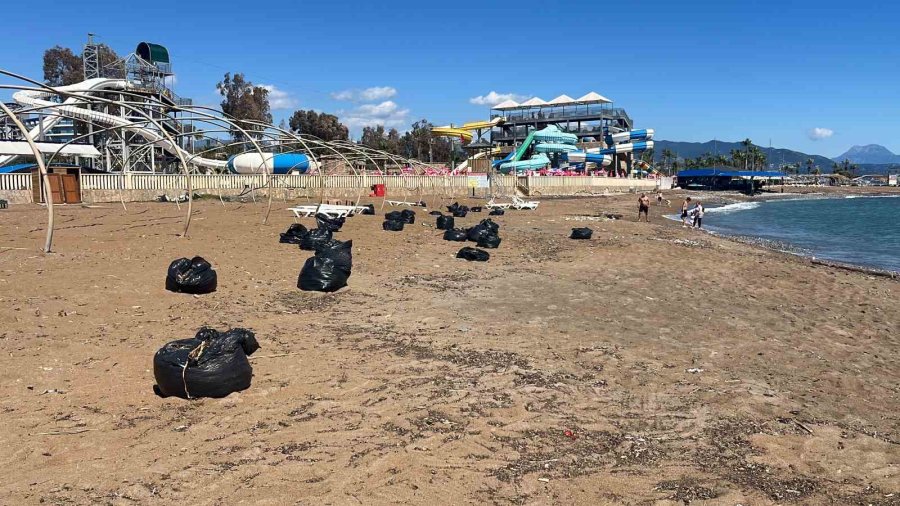 Alanya’da Sahildeki Siyah Tabaka Önce Tedirgin Etti, Gerçek Sonradan Ortaya Çıktı