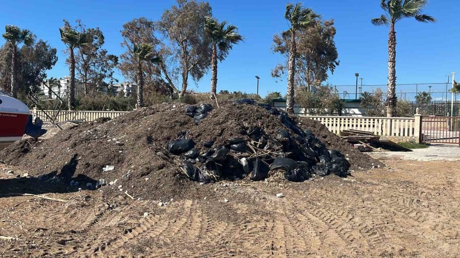 Alanya’da Sahildeki Siyah Tabaka Önce Tedirgin Etti, Gerçek Sonradan Ortaya Çıktı