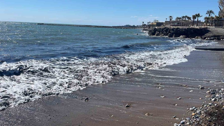 Alanya’da Sahildeki Siyah Tabaka Önce Tedirgin Etti, Gerçek Sonradan Ortaya Çıktı