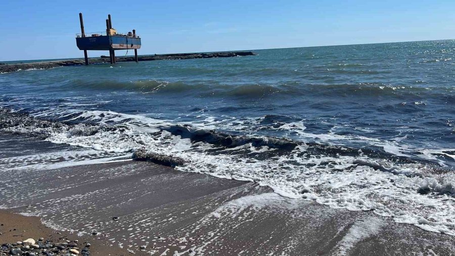 Alanya’da Sahildeki Siyah Tabaka Önce Tedirgin Etti, Gerçek Sonradan Ortaya Çıktı